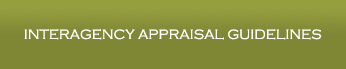 Interagency Appraisal Guidelines